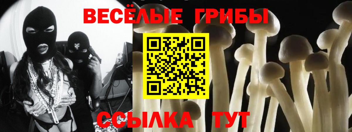 Галлюциногенные грибы Psilocybine cubensis Барабинск